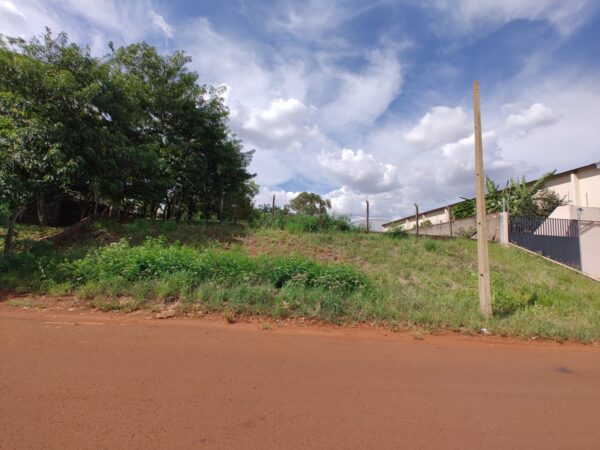 Terreno na Rua Willie Davids - Rolândia/PR